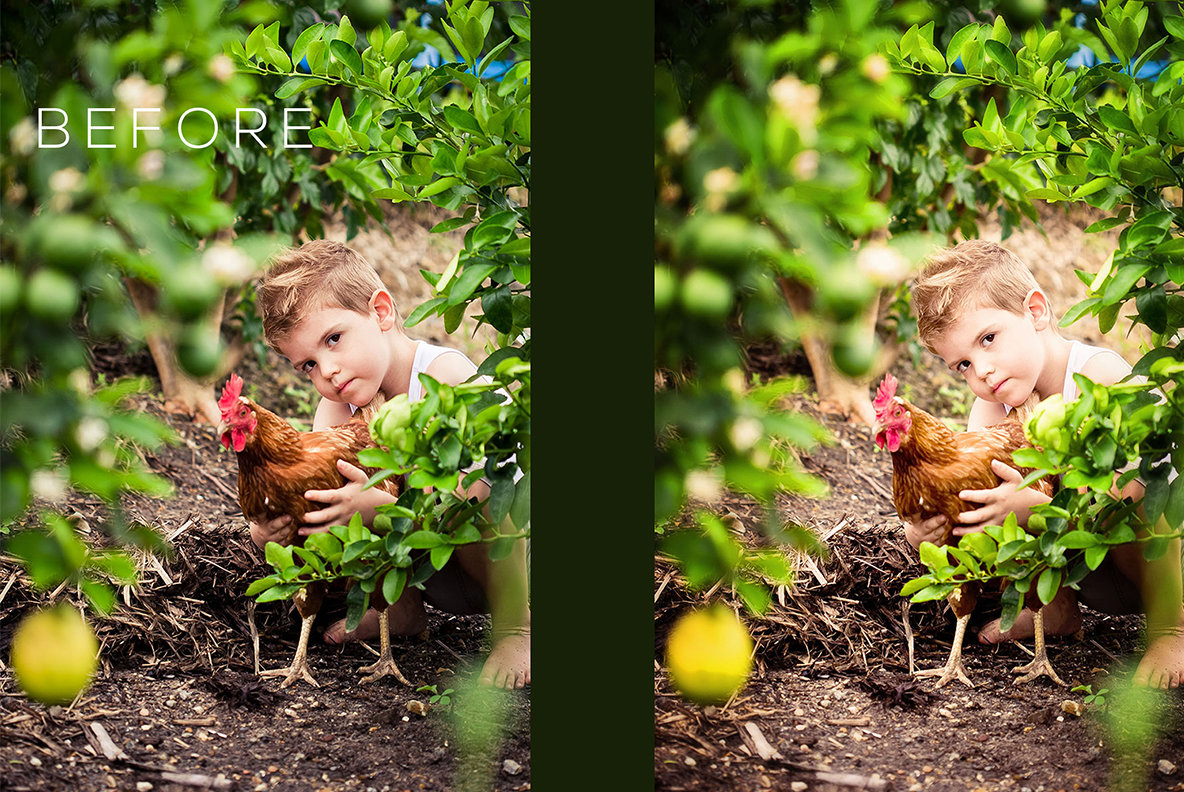 Togs Toolbox Action Collection 4