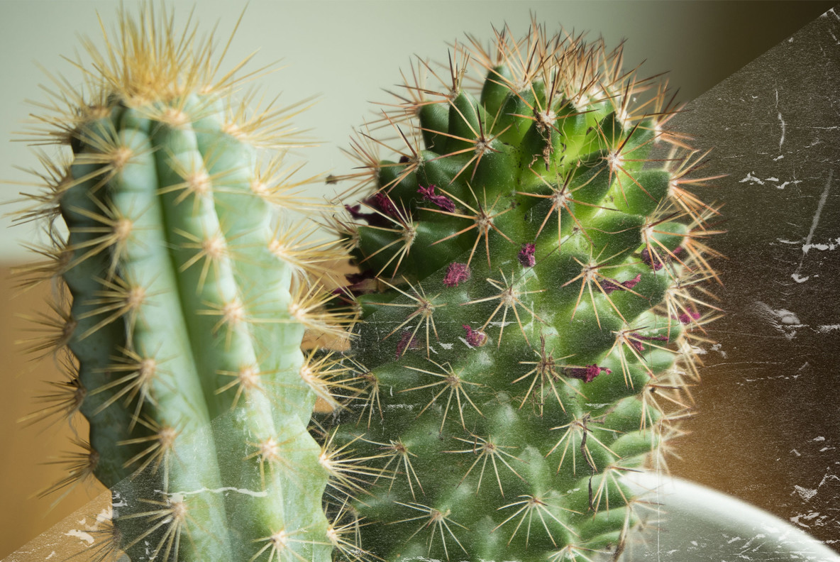 Scratched and Torn Paper Textures 6