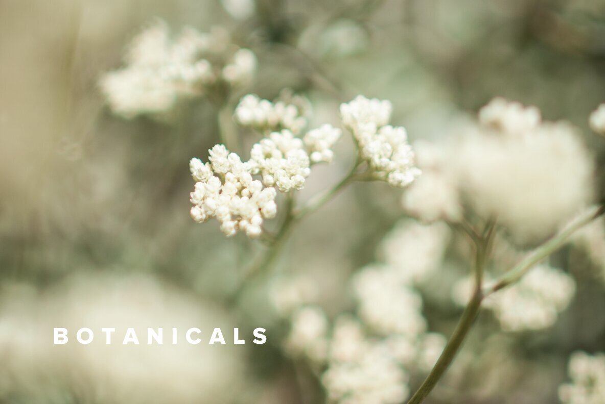 Botanicals Botanicals