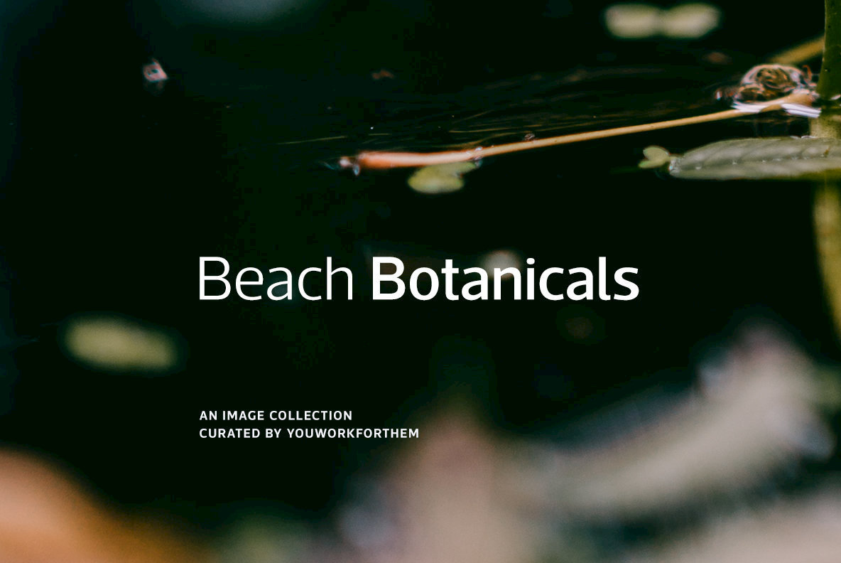Beach Botanicals Beach Botanicals
