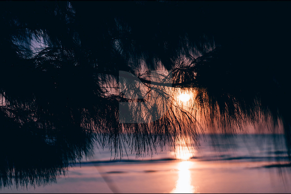 Beach Botanicals Beach Botanicals