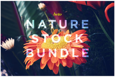 Nature Stock Bundle