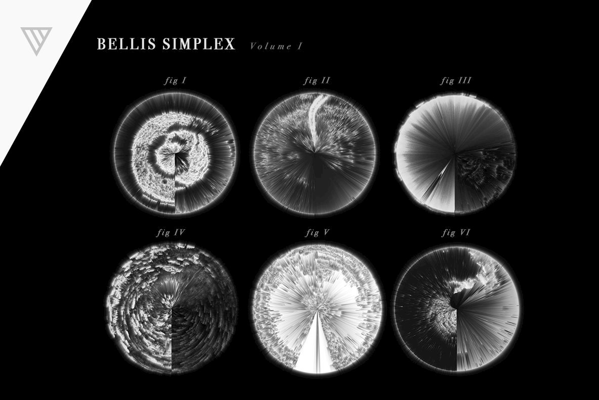 Bellis Simplex V1