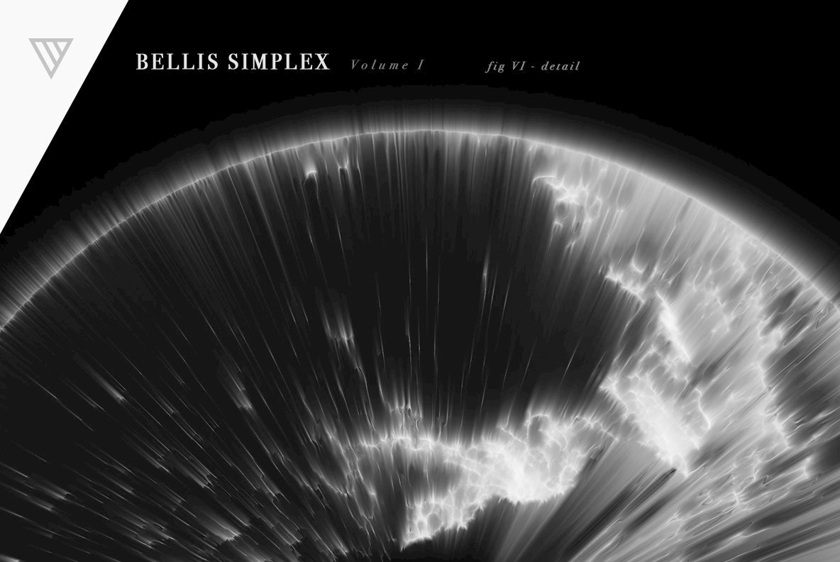 Bellis Simplex V1 Bellis Simplex V1