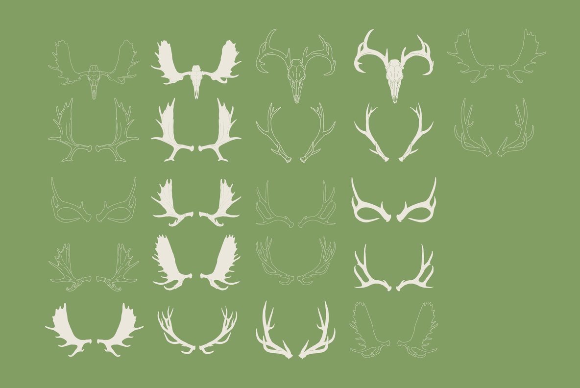 Antlers 2