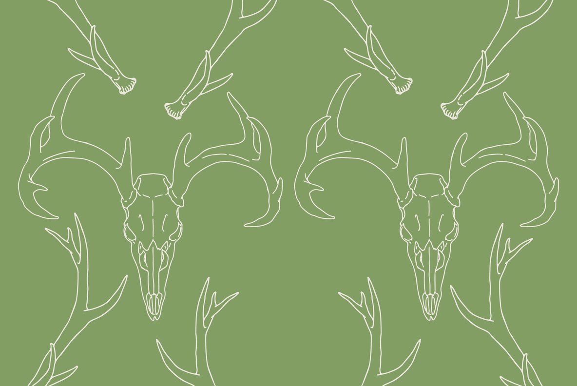 Antlers 4