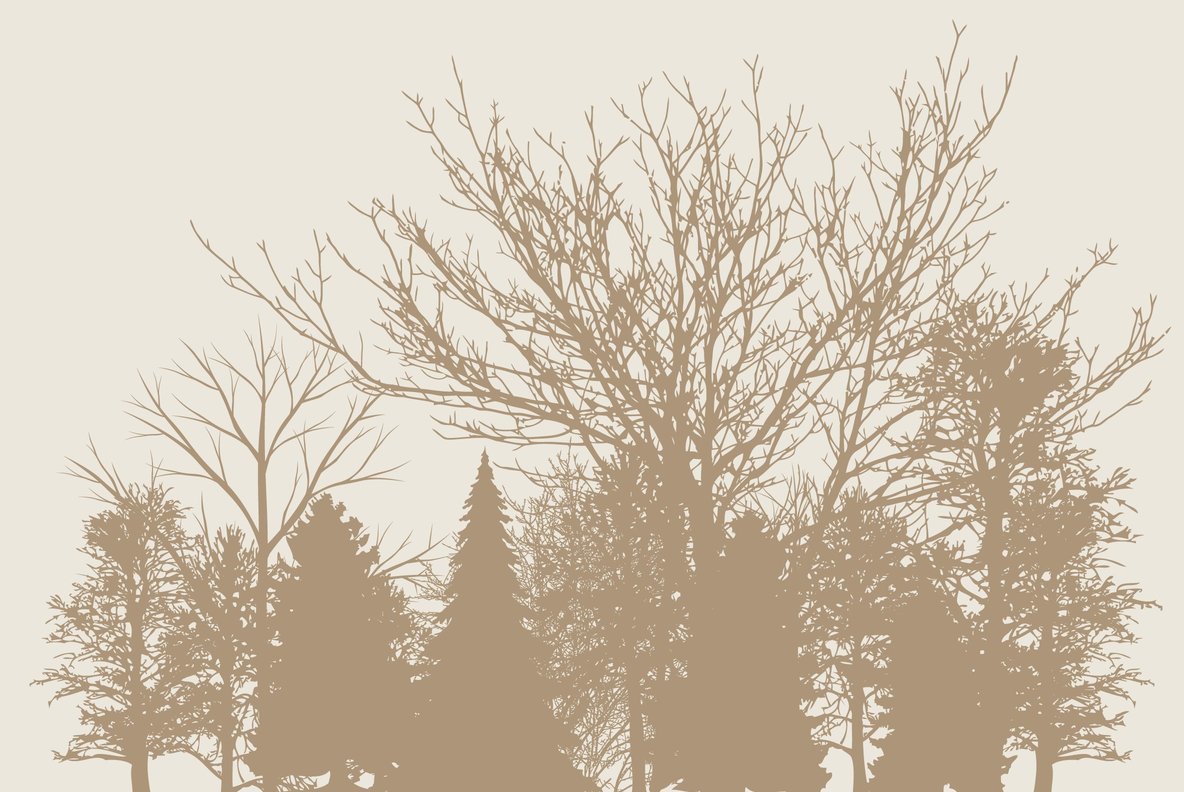 Lumbergrains Lumbergrains