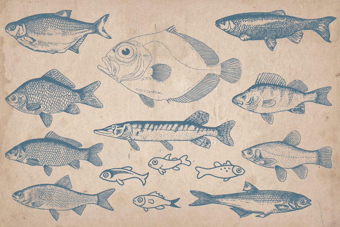 Vintage Hand Drawn Fish