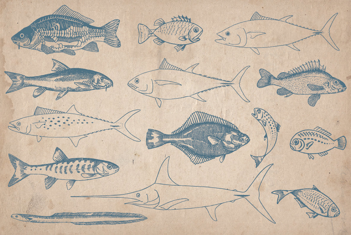 Vintage Hand Drawn Fish
