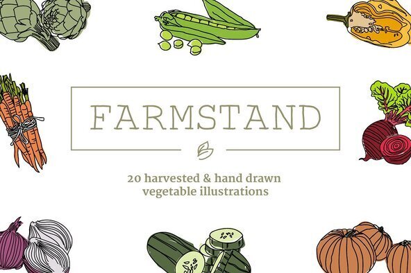 20 Handdrawn Vegetable Illustrations 1