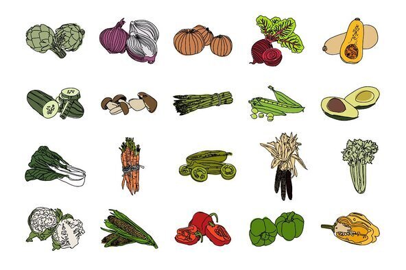 20 Handdrawn Vegetable Illustrations 2