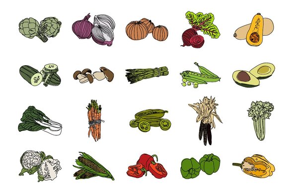 20 Handdrawn Vegetable Illustrations 5