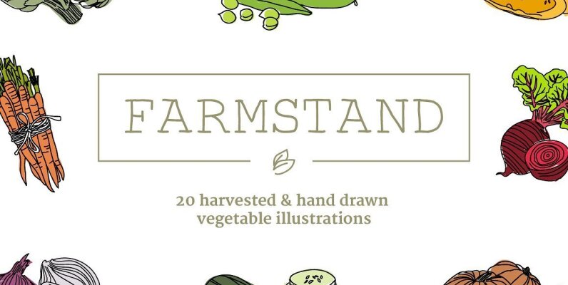 20 Handdrawn Vegetable Illustrations