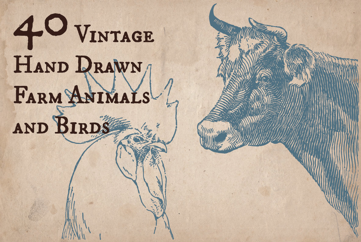 40 Vintage Farm Animals