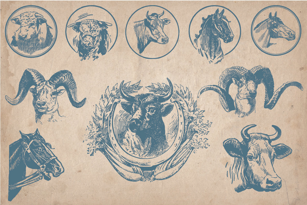 40 Vintage Farm Animals 2