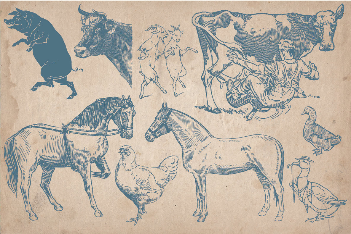 40 Vintage Farm Animals 4