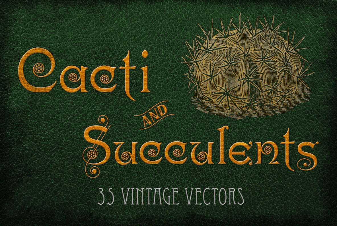 Vintage Cacti and Succulents 1