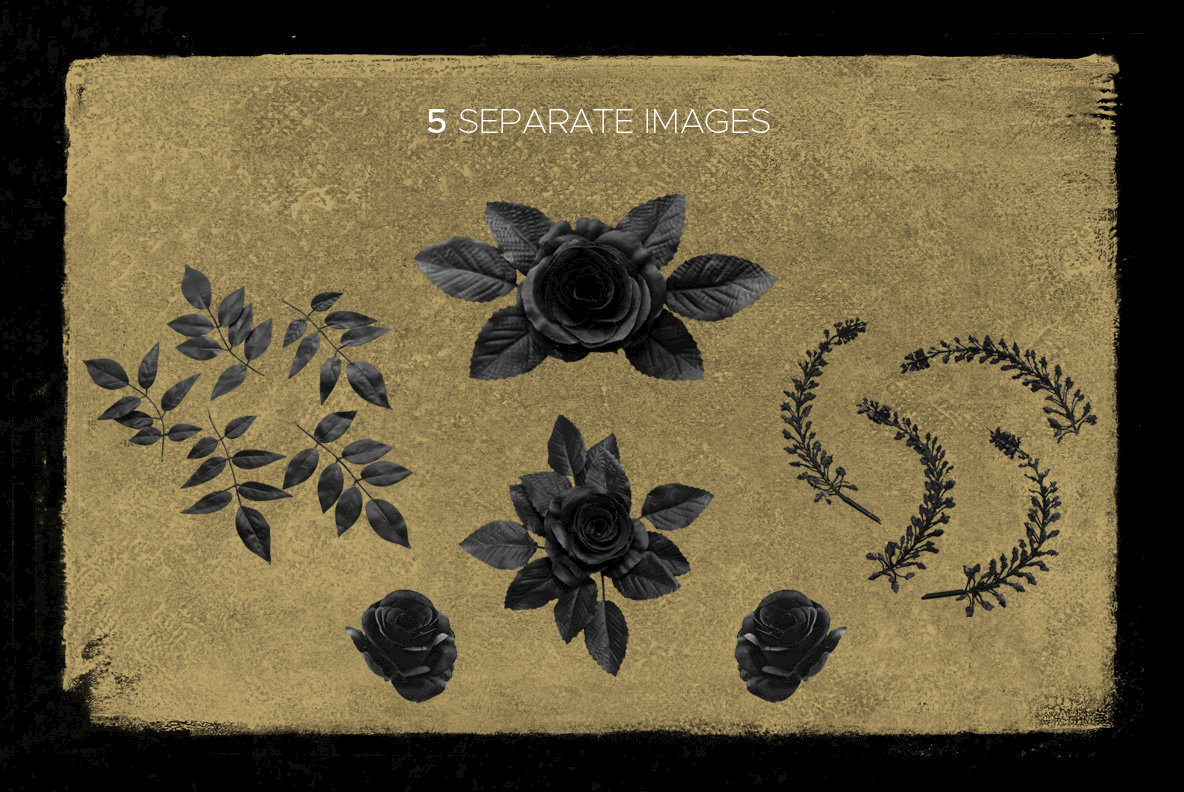 Noirose Design Set 4