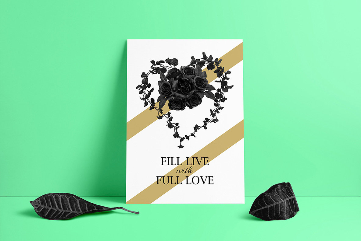 Noirose Design Set 5