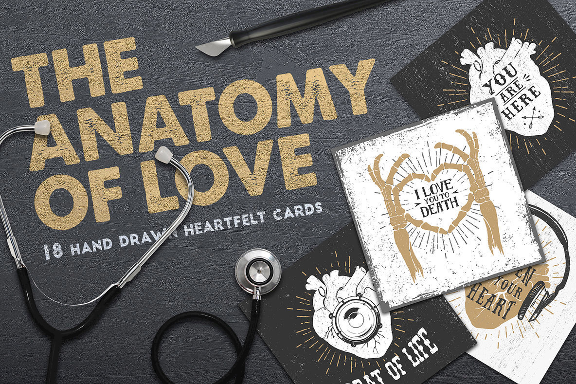 Anatomy of Love Anatomy of Love