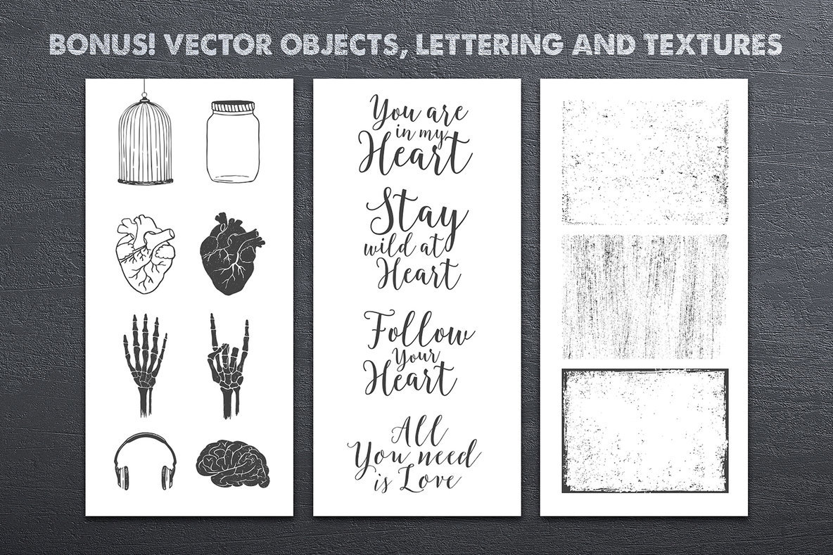 Anatomy of Love Anatomy of Love