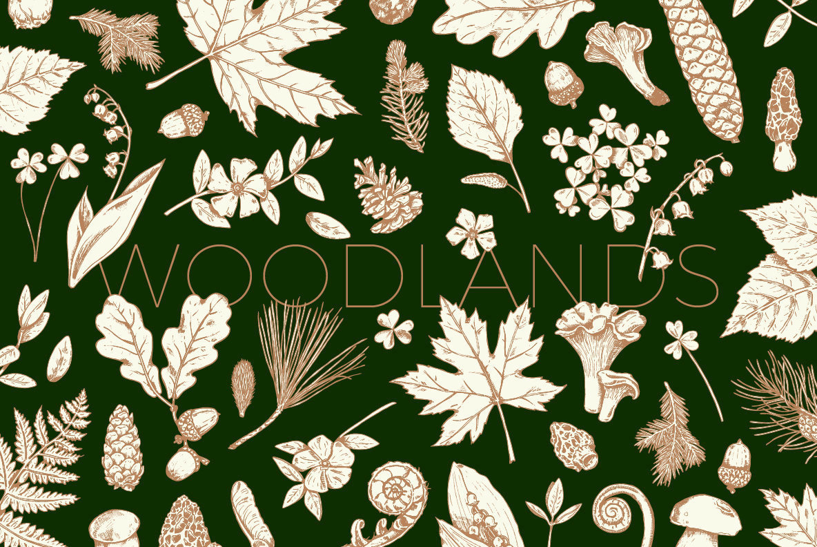 Woodlands Woodlands