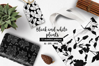 Black and White Plants