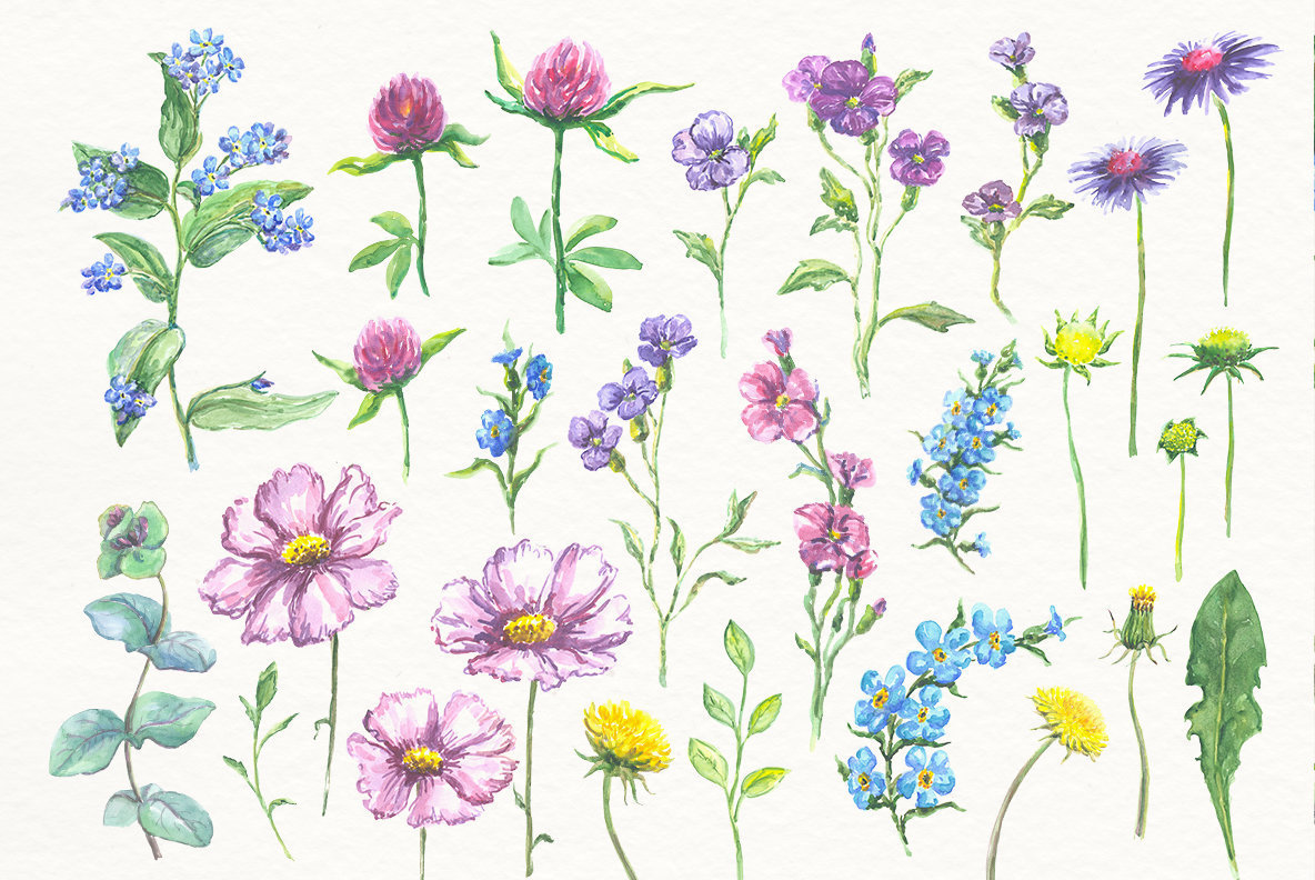 88 Watercolor Floral Set 88 Watercolor Floral Set