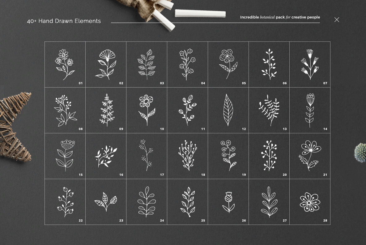 40 Botanical Hand Drawn Elements 40 Botanical Hand Drawn Elements