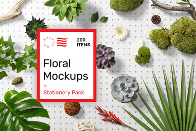 Floral Mockups and Stationery Pack