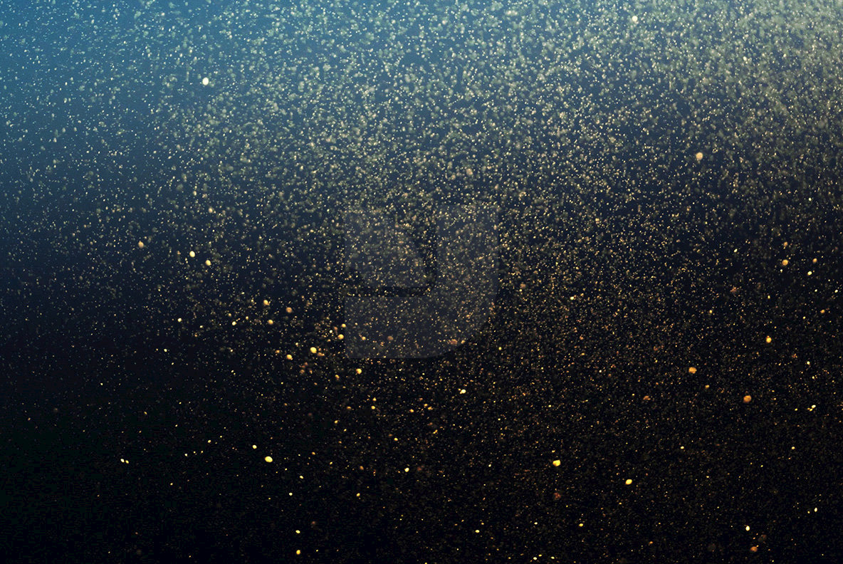 Color Glitter Overlays 11 Color Glitter Overlays 11
