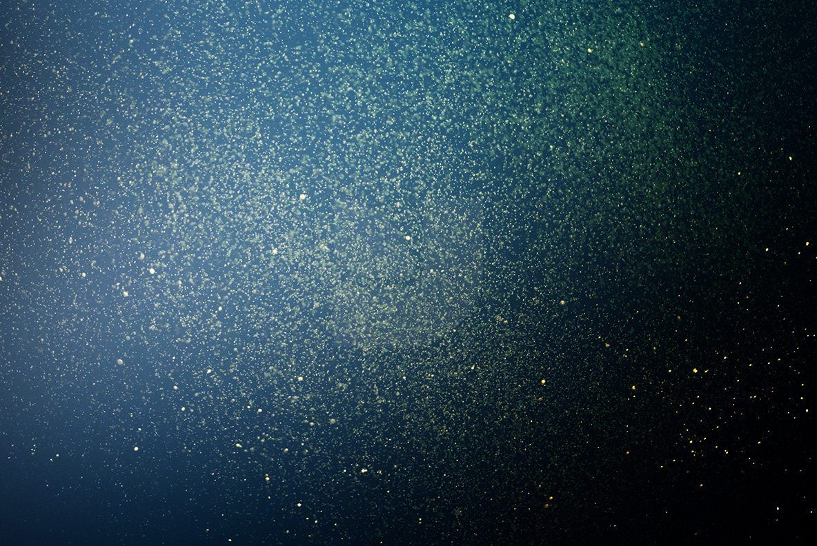 Color Glitter Overlays 11 Color Glitter Overlays 11