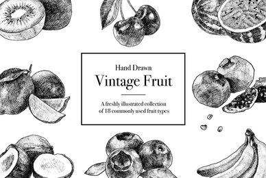Hand Drawn Vintage Fruit