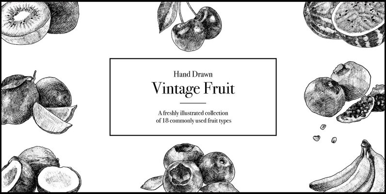 Hand Drawn Vintage Fruit