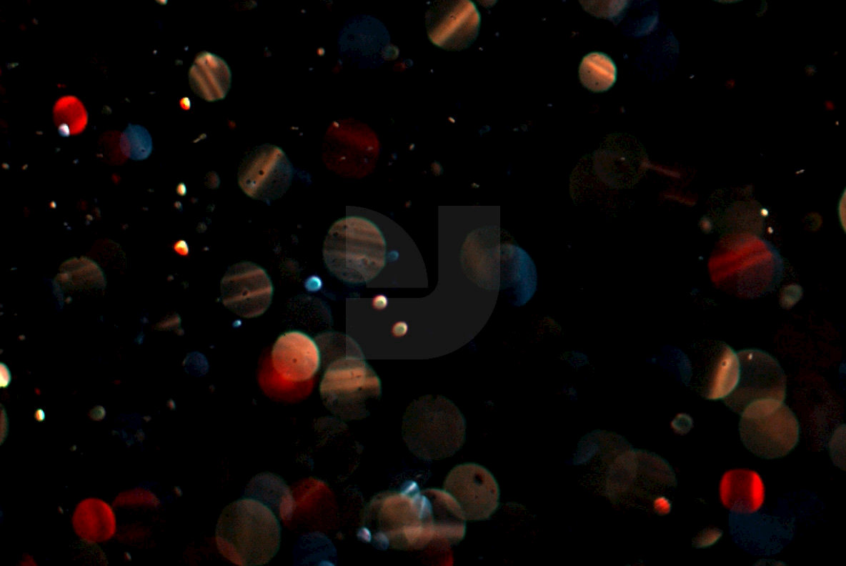 Glitter Explosion 7 Glitter Explosion 7