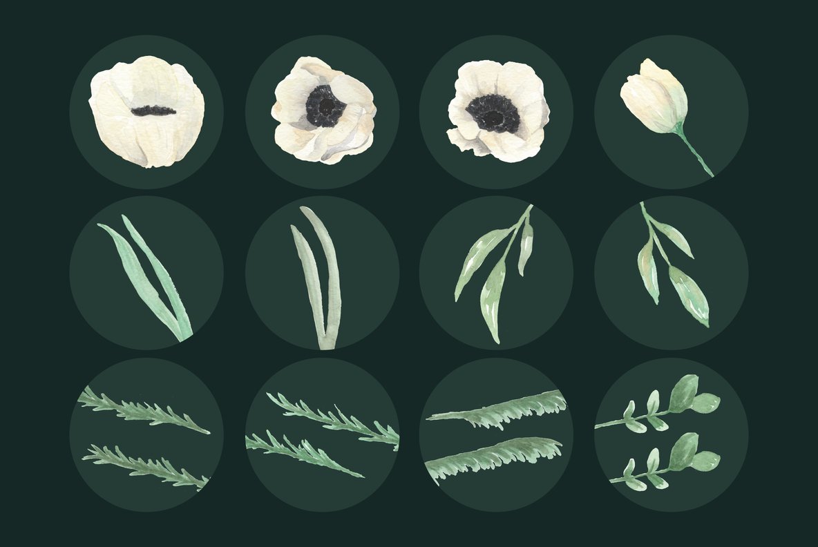 Winter Anemones Flower Watercolor Package Winter Anemones Flower Watercolor Package