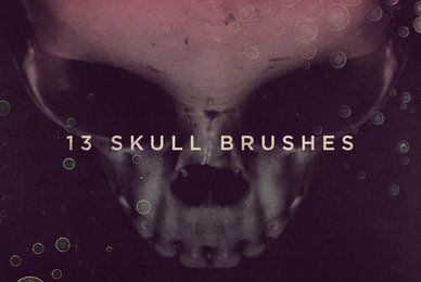 13 Skull Brushes