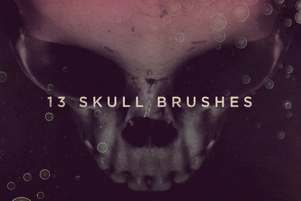 13 Skull Brushes 13 Skull Brushes
