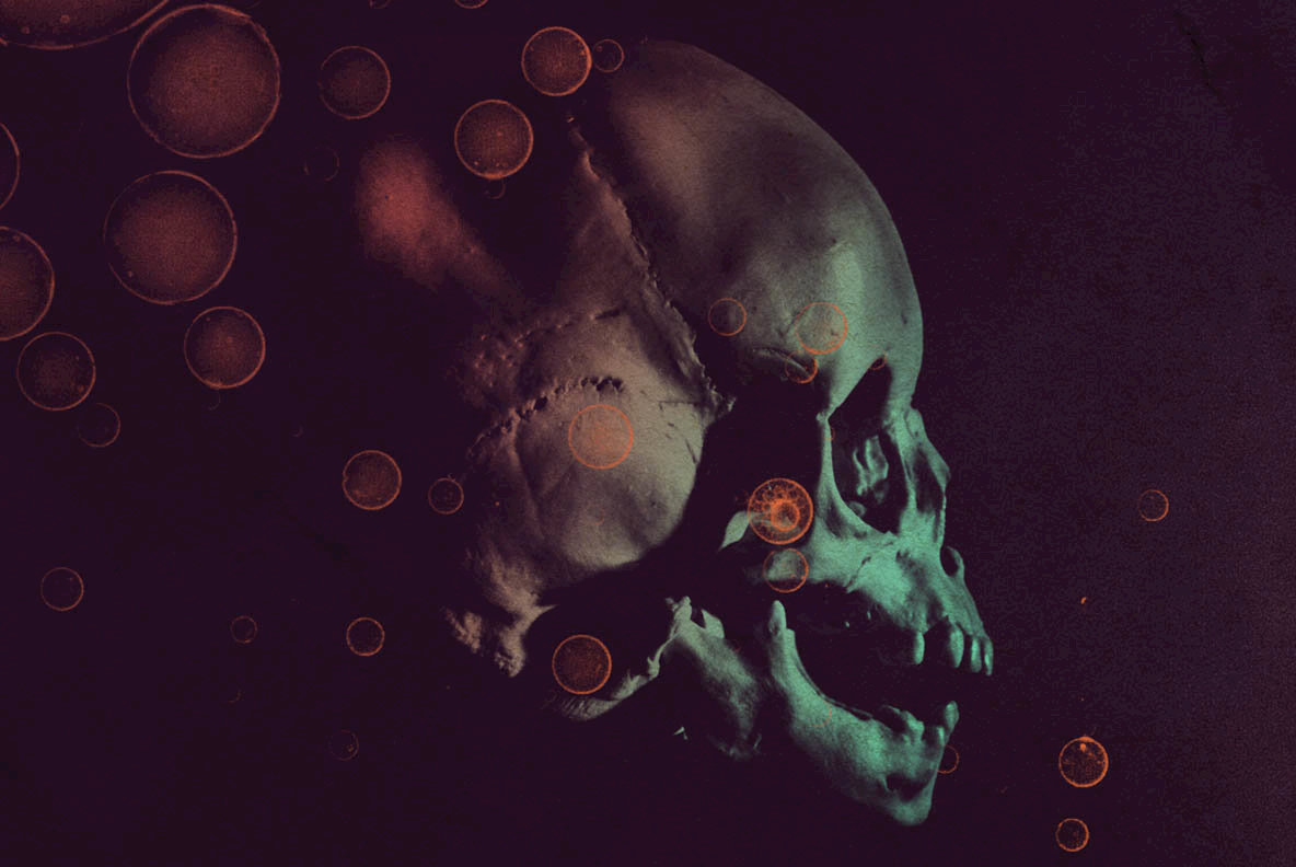 13 Skull Brushes 13 Skull Brushes