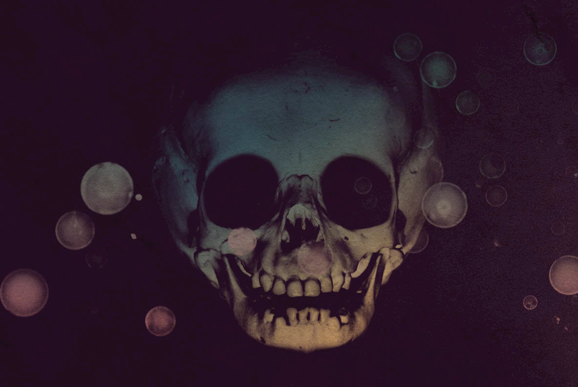 13 Skull Brushes 13 Skull Brushes