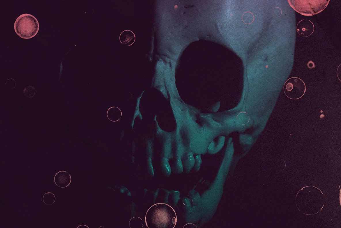 13 Skull Brushes 13 Skull Brushes