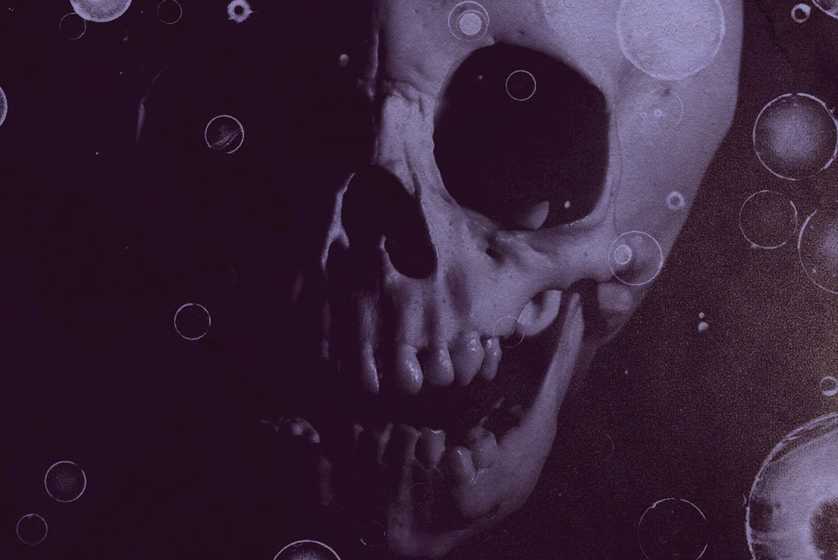 13 Skull Brushes 13 Skull Brushes