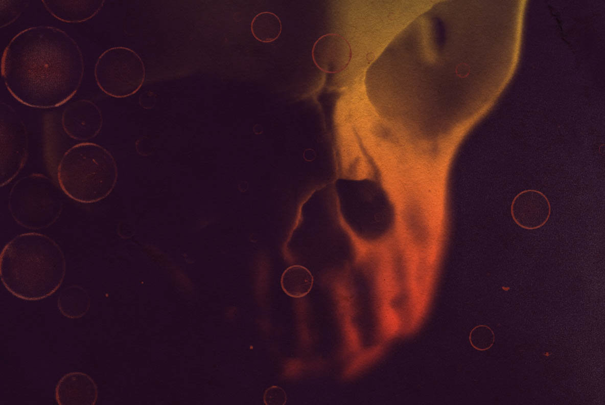 13 Skull Brushes 13 Skull Brushes