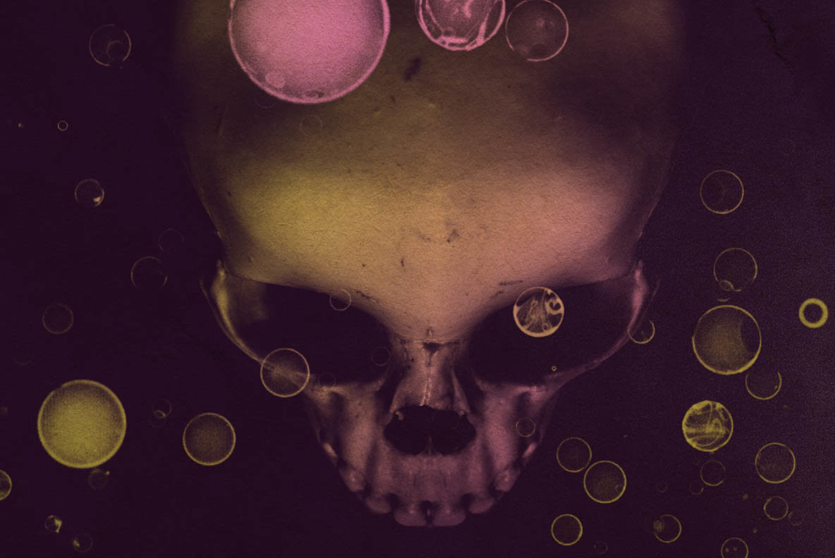 13 Skull Brushes 13 Skull Brushes