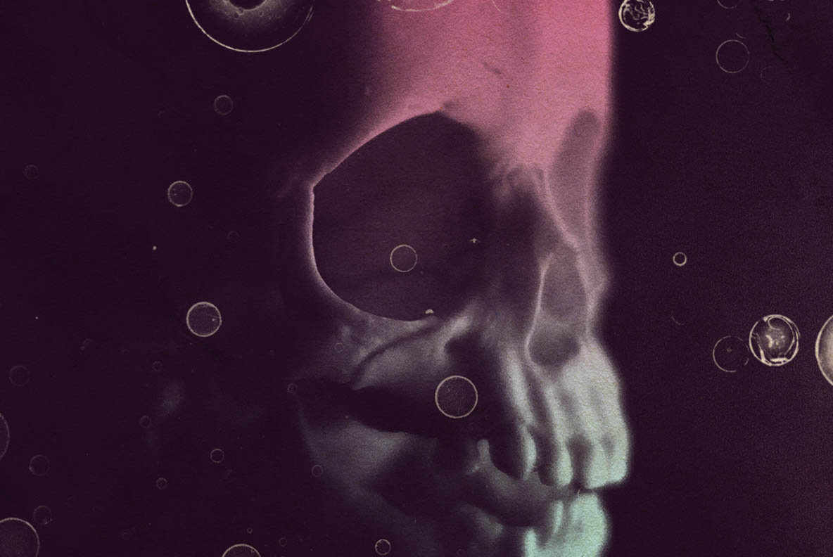 13 Skull Brushes 13 Skull Brushes