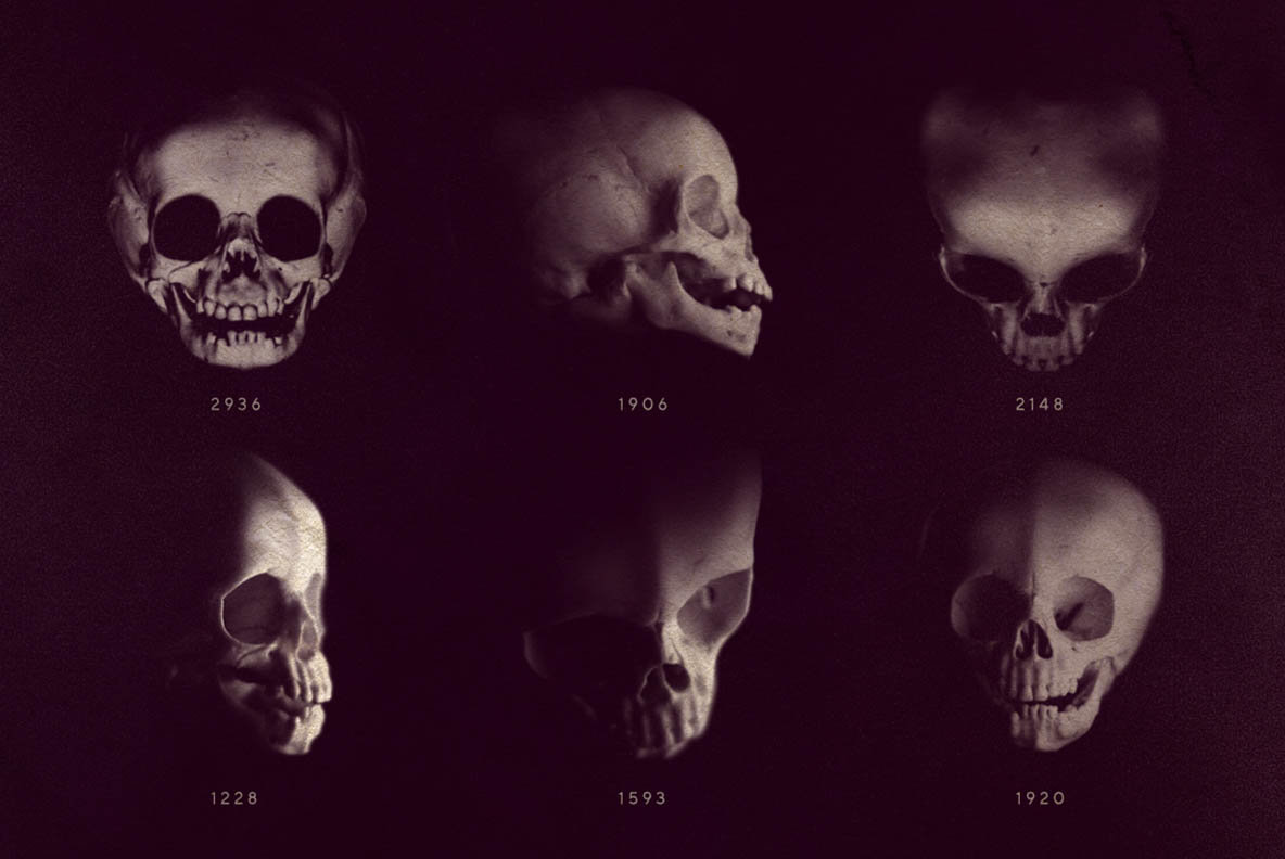 13 Skull Brushes 13 Skull Brushes
