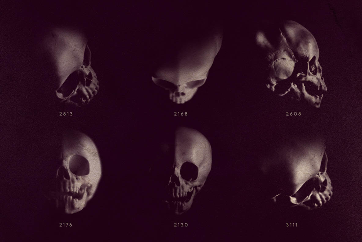 13 Skull Brushes 13 Skull Brushes