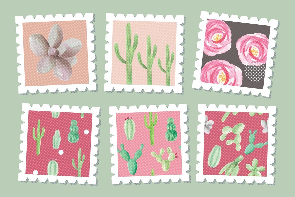Cactus Flower Watercolor Package 3