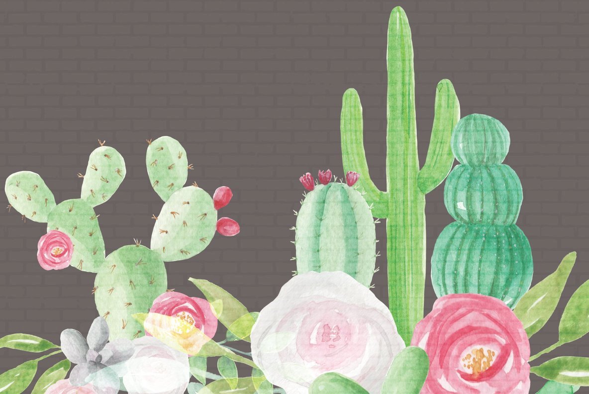 Cactus Flower Watercolor Package 4