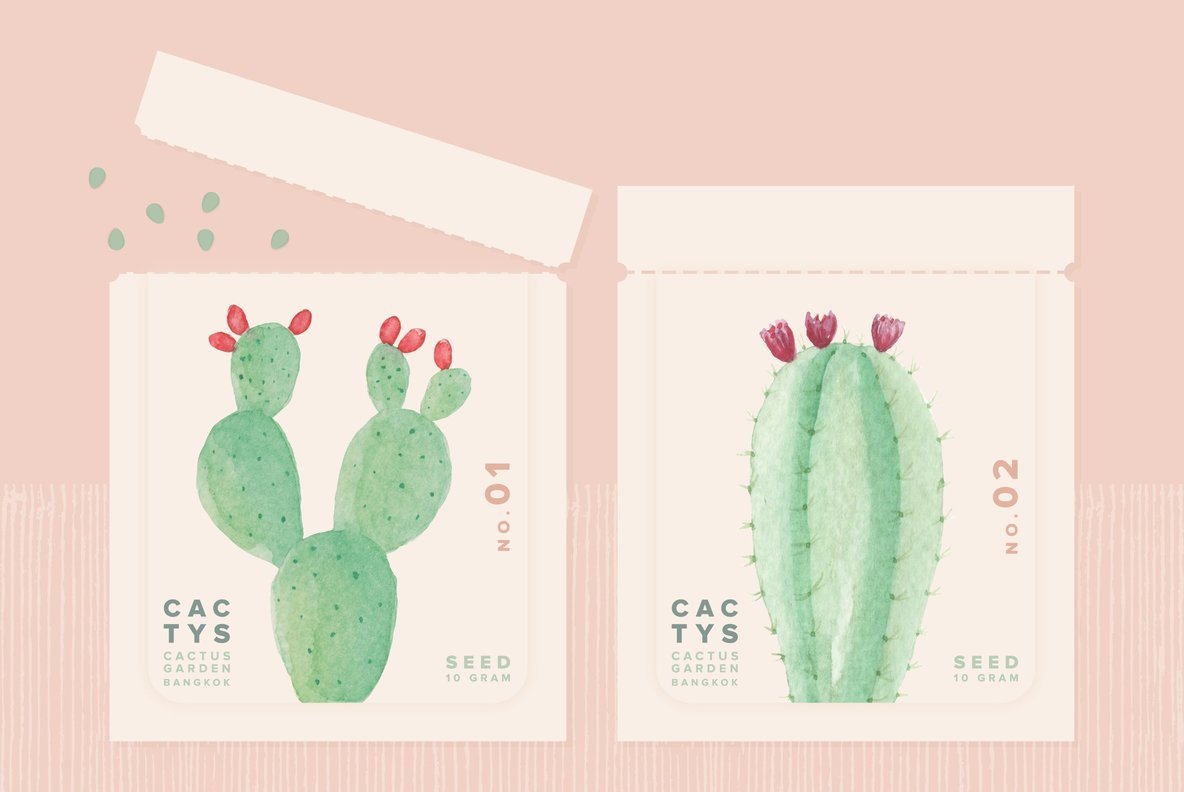 Cactus Flower Watercolor Package 5